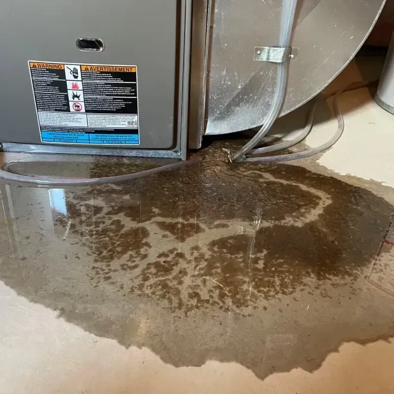 Appliance Leak Cleanup in Cordaville, MA